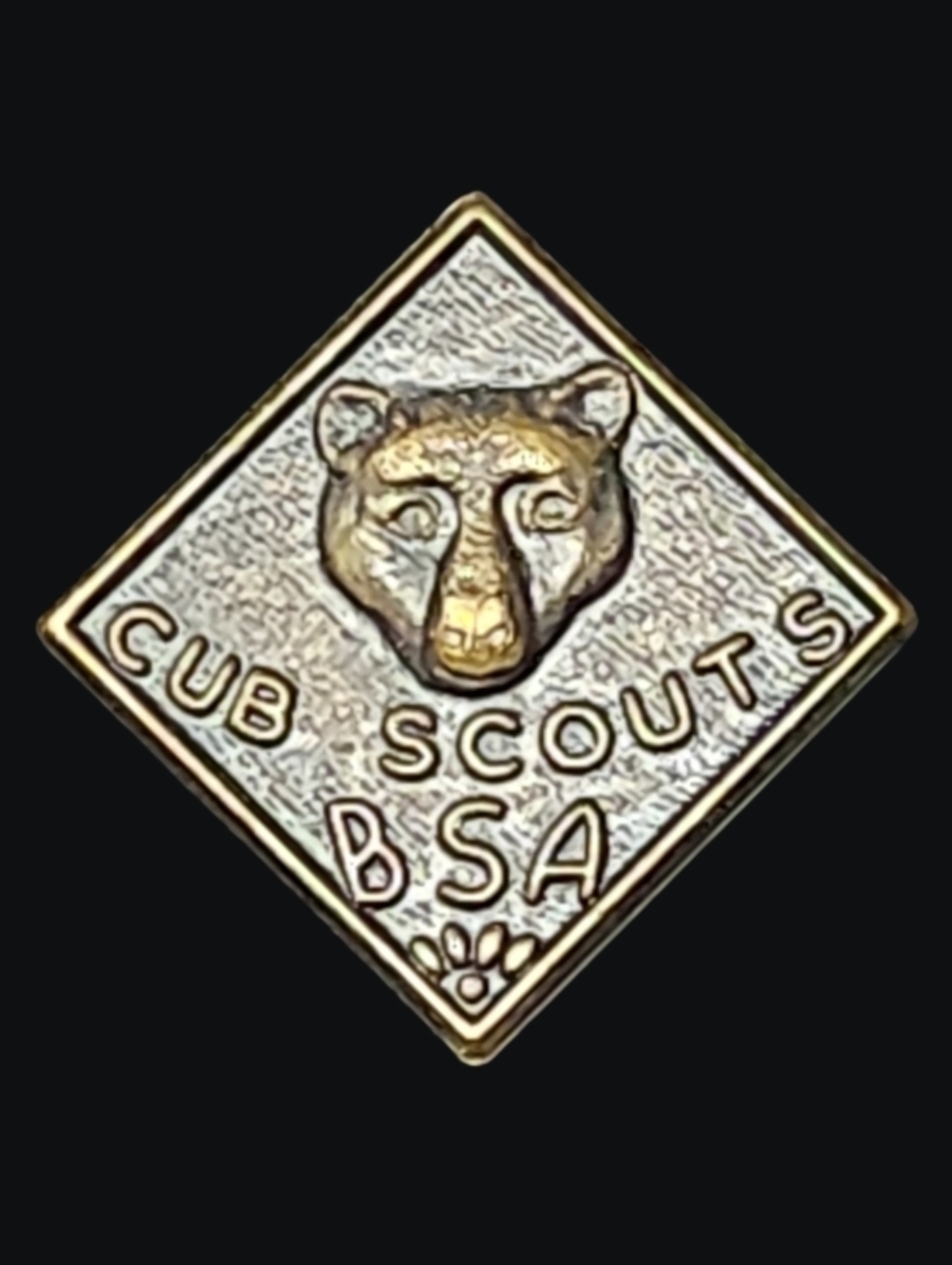 Vintage Cub Scouts BSA "Bear Rank" Diamond Shaped Pin